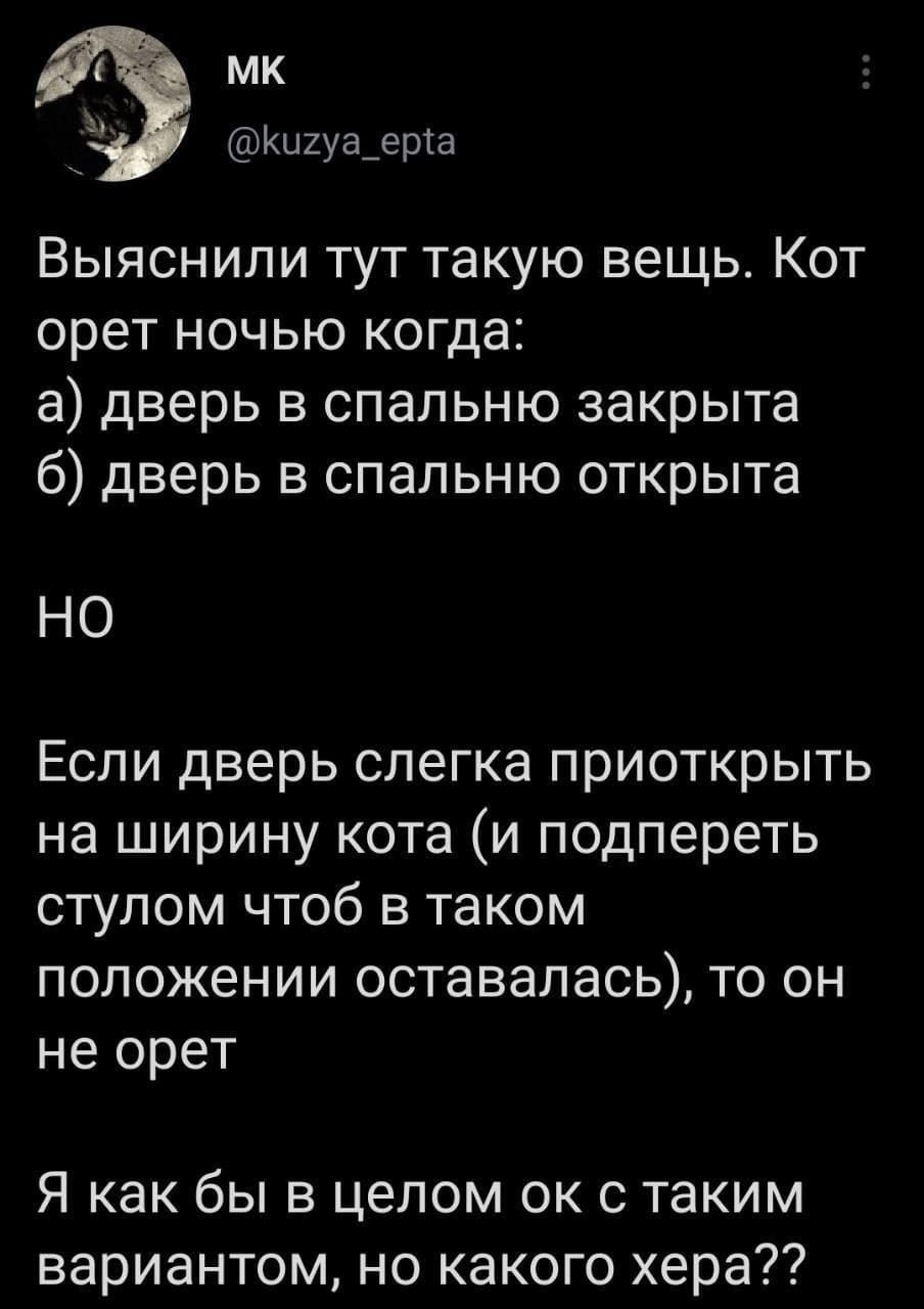 Выяснили тут такую вещь. Кот орёт ночью когда:
а) дверь в спальню закрыта;
б) дверь в спальню открыта.
НО!
Если дверь слегка приоткрыть на ширину кота (и подпереть стулом чтоб в таком положении оставалась), то он не орёт.
Я как бы в целом ок с таким вариантом, но какого х*ра??