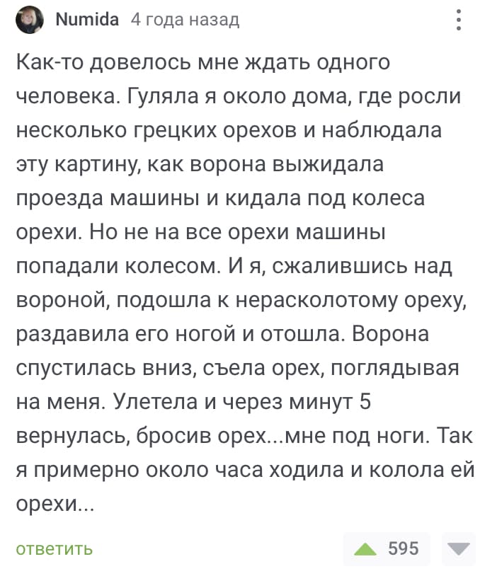 Как-то довелось мне ждать одного человека. Гуляла я около дома, где росли несколько грецких орехов и наблюдала эту картину, как ворона выжидала проезда машины и кидала под колеса орехи. Но не на все орехи машины попадали колесом. И я, сжалившись над вороной, подошла к нерасколотому ореху, раздавила его ногой и отошла. Ворона спустилась вниз, съела орех, поглядывая на меня. Улетела и через минут 5 вернулась, бросив орех...мне под ноги. Так я примерно около часа ходила и колола ей орехи...