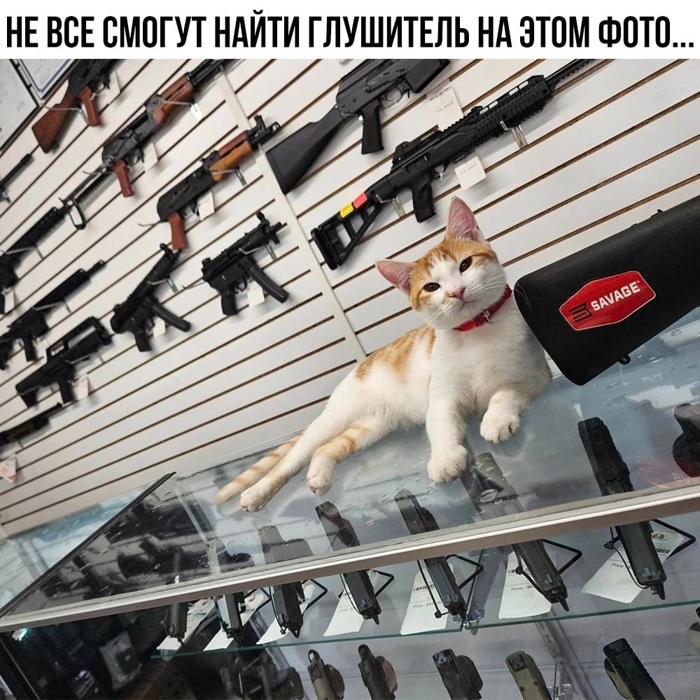 *HE ВСЕ СМОГУТ НАЙТИ ГЛУШИТЕЛЬ НА ЭТОМ ФОТО...*