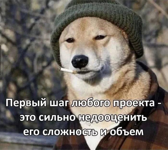 Первый шаг любого проекта — это сильно недооценить его сложность и объём.