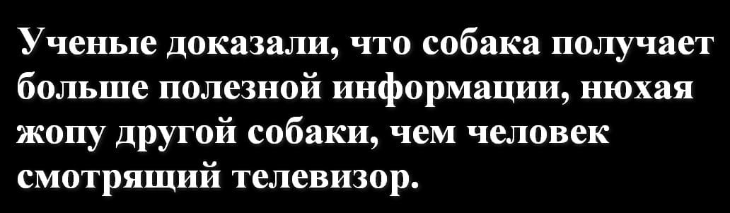 Ученые доказали, что собака получает больше полезной информации, нюхая жопу другой собаки, чем человек смотрящий телевизор.