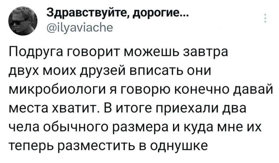 Подруга говорит: Можешь завтра двух моих друзей вписать, они микробиологи. Я говорю: конечно, давай, места хватит. В итоге приехали два чела обычного размера. И куда мне их теперь разместить в однушке.