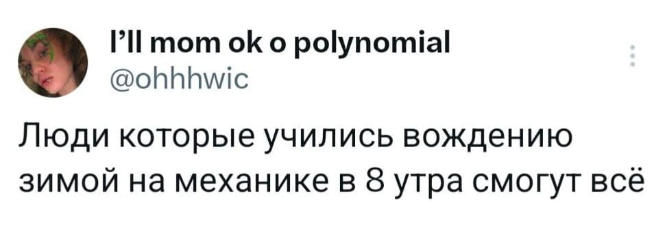 Люди, которые учились вождению зимой на механике в 8 утра смогут всё.