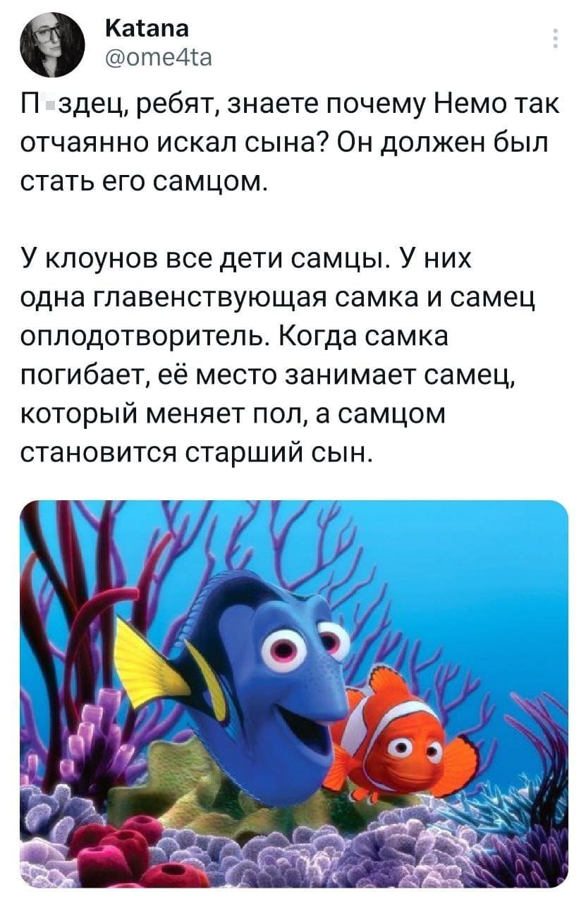 П*здец, ребят, знаете почему Немо так отчаянно искал сына? Он должен был стать его самцом.
У клоунов все дети самцы. У них одна главенствующая самка и самец оплодотворитель. Когда самка погибает, её место занимает самец, который меняет пол, а самцом становится старший сын.