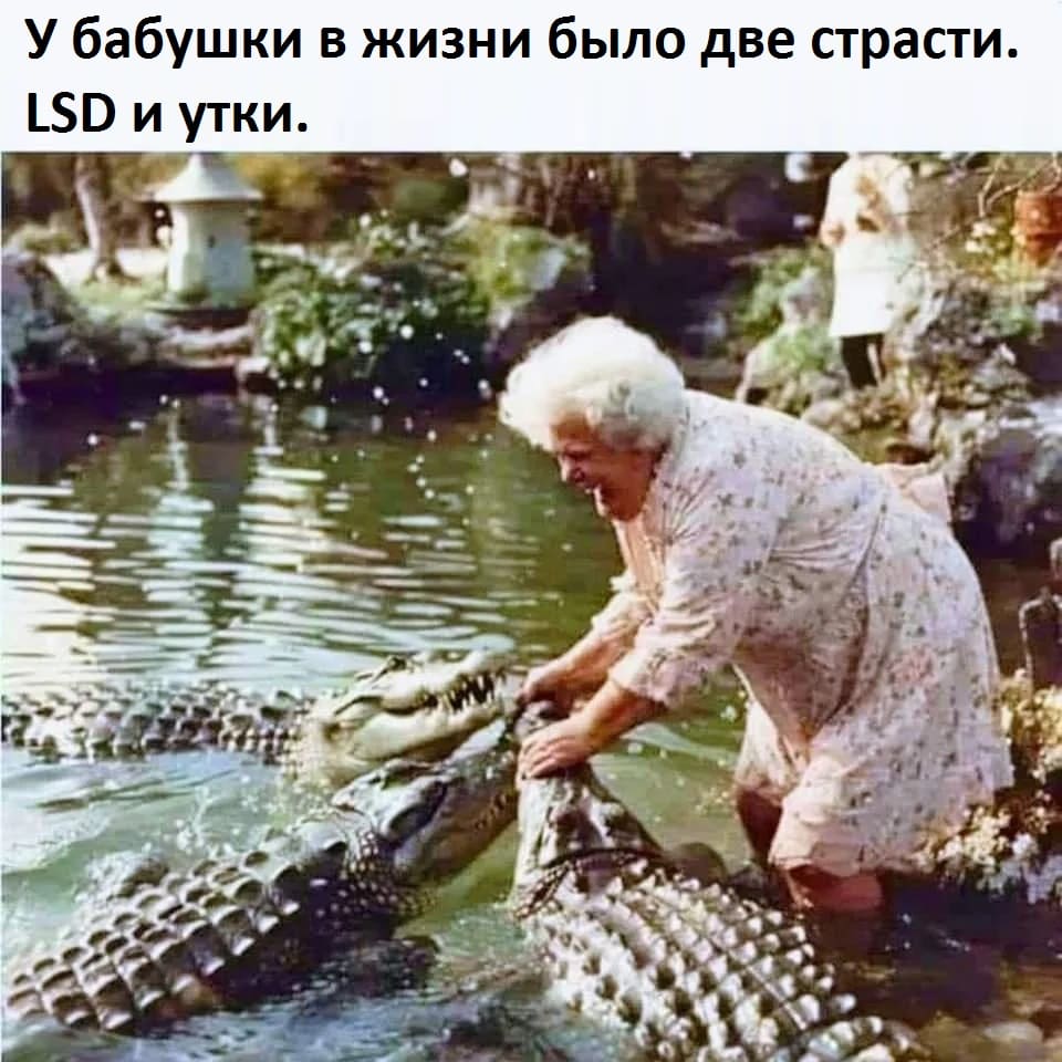 У бабушки в жизни было две страсти. LSD и утки.