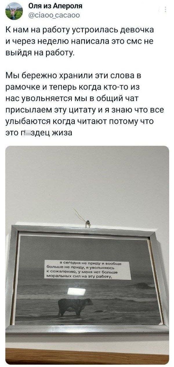 К нам на работу устроилась девочка и через неделю написала это смс не выйдя на работу.
Мы бережно хранили эти слова в рамочке и теперь когда кто-то из нас увольняется мы в общий чат присылаем эту цитату и я знаю что все улыбаются когда читают потому что это п*здец жиза.
*Я сегодня не приду и вообще больше не приду, я увольняюсь к сожалению, у меня нет больше моральных сил на эту работу.*