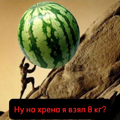 *Ну нахрена я взял 8 килограмм?*