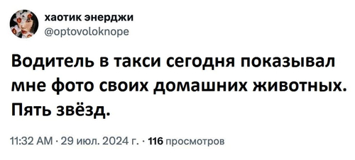 Водитель в такси сегодня показывал мне фото своих домашних животных. Пять звёзд.