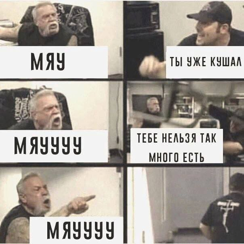 – МЯУ!
– ТЫ УЖЕ КУШАЛ!
– МЯУУУУ!
– ТЕБЕ НЕЛЬЗЯ ТАК МНОГО ЕСТЬ!
– МЯУУУУ!