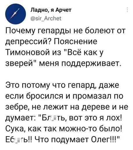 Почему гепарды не болеют от депрессий? Пояснение Тимоновой из «Всё как у зверей» меня поддерживает.
Это потому что гепард, даже если бросился и промазал по зебре, не лежит на дереве и не думает: «Бл*ть, вот это я лох! Сука, как так можно-то было! Еб*ть!! Что подумает Олег!!!»