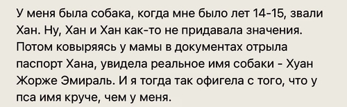 У меня была собака, когда мне было лет 14-15, звали Хан. Ну, Хан и Хан как-то не придавала значения. Потом ковыряясь у мамы в документах отрыла паспорт Хана, увидела реальное имя собаки — Хуан Жорже Эмираль. И я тогда так офигела с того, что у пса имя круче, чем у меня.