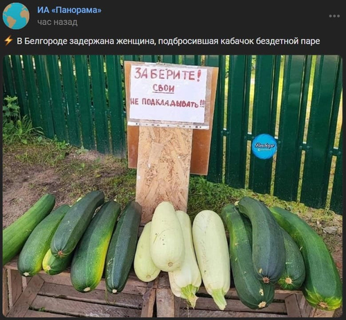 *В Белгороде задержана женщина, подбросившая кабачок бездетной паре*
ЗАБЕРИТЕ! (Кабачки)
СВОИ НЕ ПОДКЛАДЫВАЙТЕ!!!