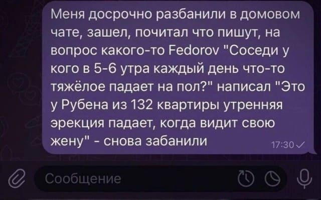 Меня досрочно разбанили в домовом чате, зашел, почитал что пишут, на вопрос какого-то Fedorov «Соседи у кого в 5-6 утра каждый день что-то тяжёлое падает на пол?» написал «Это у Рубена из 132 квартиры утренняя эрекция падает, когда видит свою жену» — снова забанили.