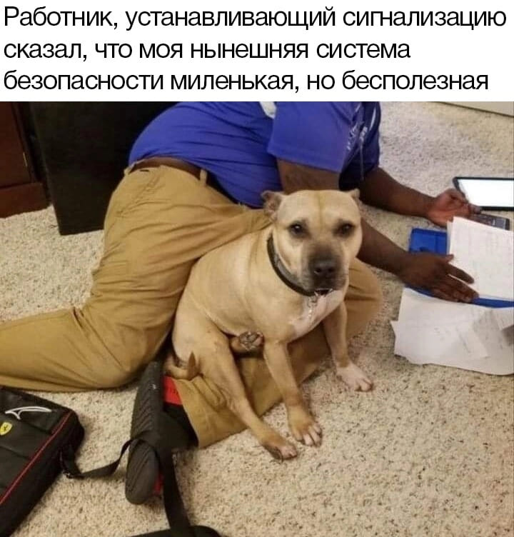 Работник, устанавливающий сигнализацию сказал, что моя нынешняя система безопасности миленькая, но бесполезная.