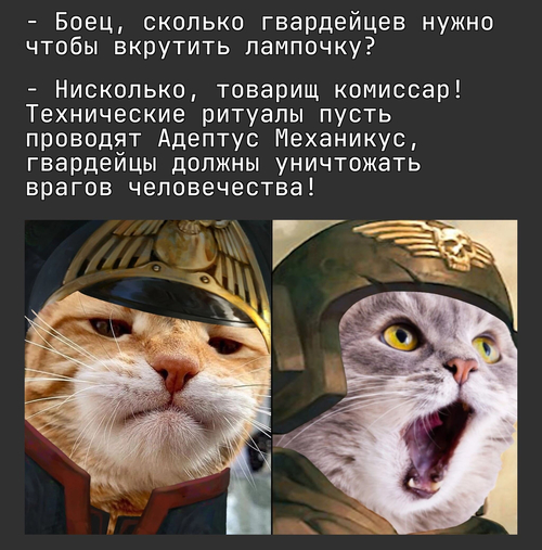 – Боец, сколько гвардейцев нужно чтобы вкрутить лампочку?
– Нисколько, товарищ комиссар! Технические ритуалы пусть проводят Адептус Механикус, гвардейцы должны уничтожать врагов человечества!