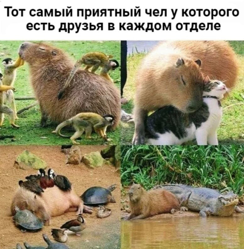 *Тот самый приятный чел у которого есть друзья в каждом отделе*