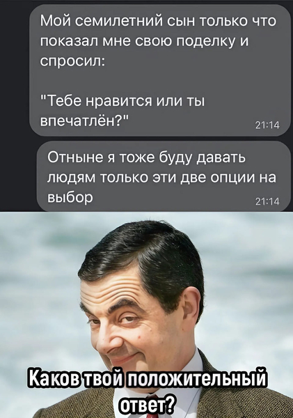 Мой семилетний сын только что показал мне свою поделку и спросил:
«Тебе нравится или ты впечатлён?».
Отныне я тоже буду давать людям только эти две опции на выбор.
*Каков твой положительный ответ?*