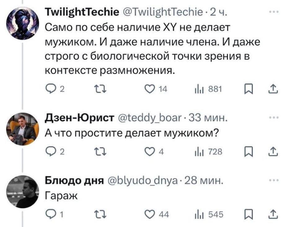 – Само по себе наличие XY не делает мужиком. И даже наличие члена. И даже строго с биологической точки зрения в контексте размножения.
– А что простите делает мужиком?
– Гараж.