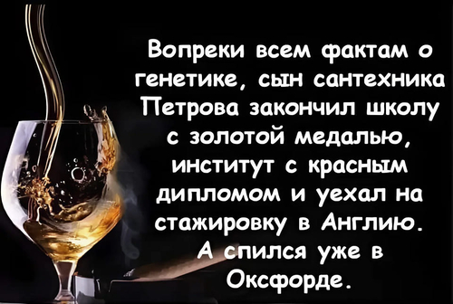 Вопреки всем фактам о генетике, сын сантехника Петрова закончил школу с золотой медалью, институт с красным дипломом и уехал на стажировку в Англию. А спился уже в Оксфорде.