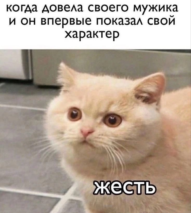 *Когда довела своего мужика и он впервые показал свой характер*
*Жесть*