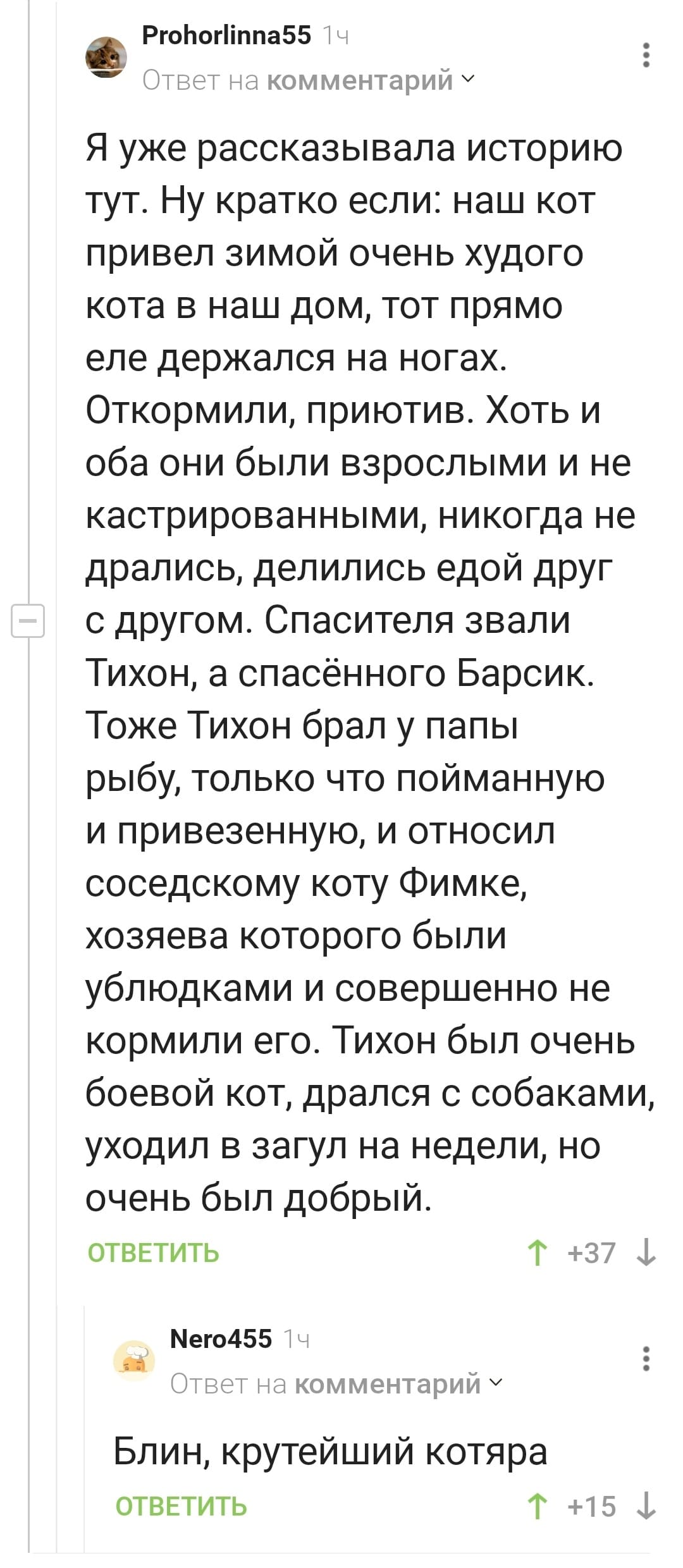 – Я уже рассказывала историю тут. Ну кратко если: наш кот привёл зимой очень худого кота в наш дом, тот прямо еле держался на ногах. Откормили, приютив. Хоть и оба они были взрослыми и не кастрированными, никогда не дрались, делились едой друг с другом. Спасителя звали Тихон, а спасённого Барсик. Тоже Тихон брал у папы рыбу, только что пойманную и привезенную, и относил соседскому коту Фимке, хозяева которого были ублюдками и совершенно не кормили его. Тихон был очень боевой кот, дрался с собаками, уходил в загул на недели, но очень был добрый.
– Блин, крутейший котяра.