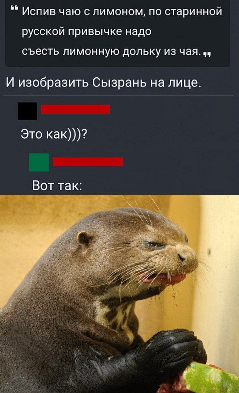– Испив чаю с лимоном, по старинной русской привычке надо съесть лимонную дольку из чая.
– И изобразить Сызрань на лице.
– Это как)))?
– *Вот так*