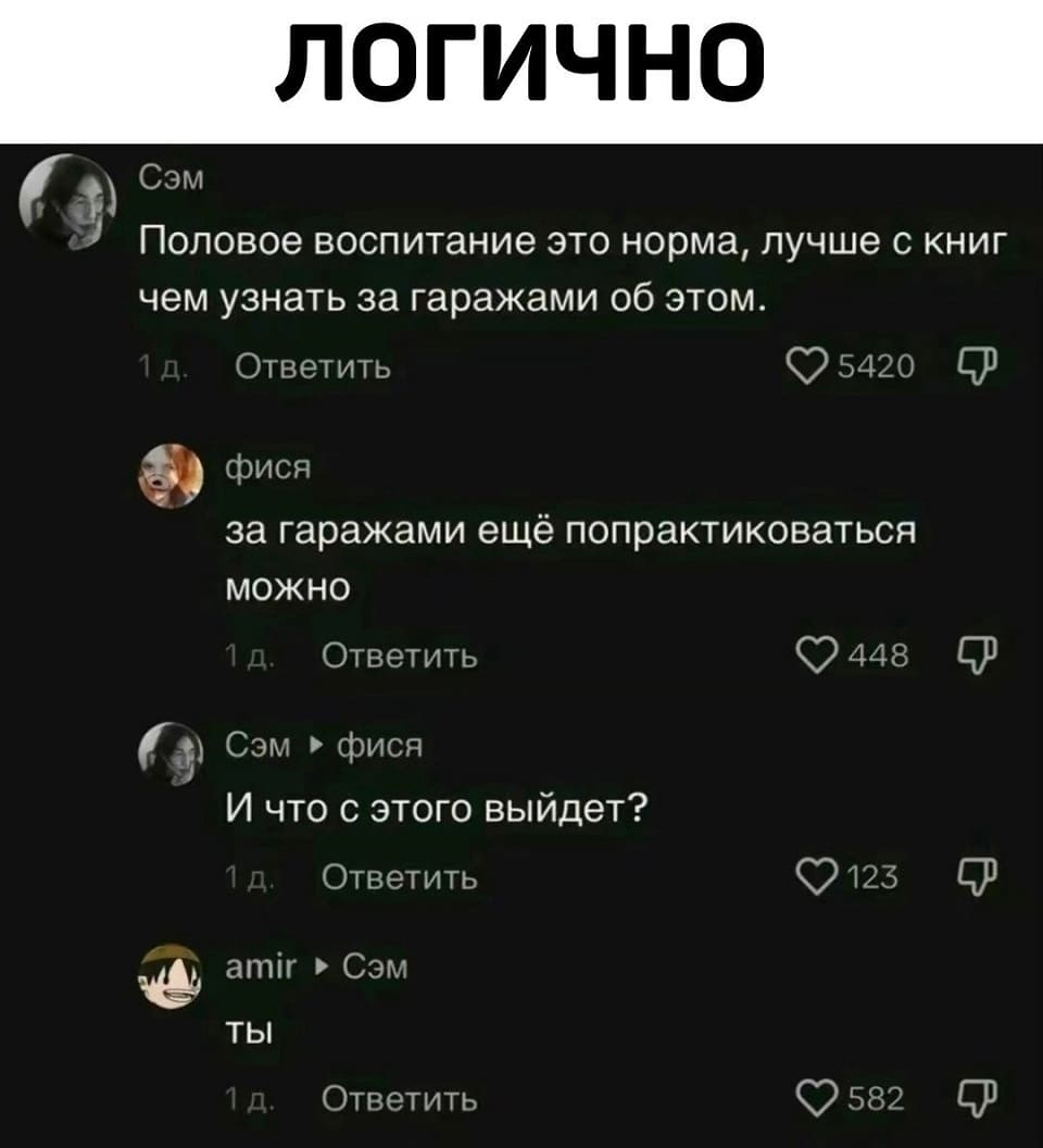 – Половое воспитание это норма, лучше с книг чем узнать за гаражами об этом.
– За гаражами ещё попрактиковаться можно.
– И что с этого выйдет?
– Ты.