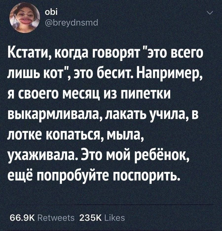 Кстати, когда говорят «это всего лишь кот», это бесит. Например, я своего месяц из пипетки выкармливала, лакать учила, в лотке копаться, мыла, ухаживала. Это мой ребёнок, ещё попробуйте поспорить.