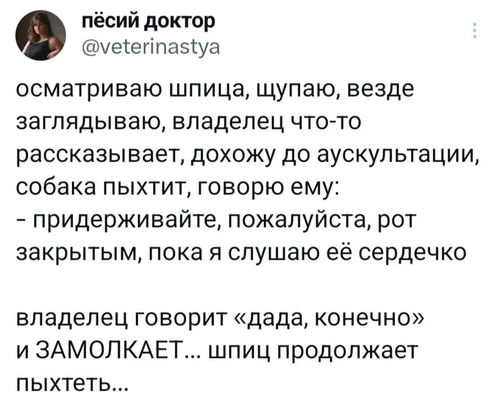 Осматриваю шпица, щупаю, везде заглядываю, владелец что-то рассказывает, дохожу до аускультации, собака пыхтит, говорю ему:
– Придерживайте, пожалуйста, рот закрытым, пока я слушаю её сердечко
владелец говорит «дада, конечно» и ЗАМОЛКАЕТ... шпиц продолжает пыхтеть...