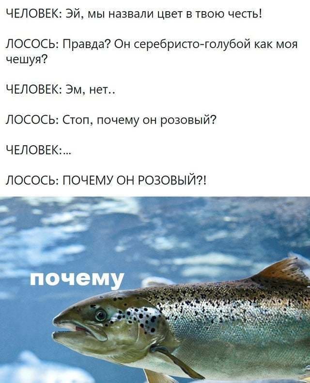 ЧЕЛОВЕК: Эй, мы назвали цвет в твою честь!
ЛОСОСЬ: Правда? Он серебристо-голубой как моя чешуя?
ЧЕЛОВЕК: Эм, нет..
ЛОСОСЬ: Стоп, почему он розовый?
ЧЕЛОВЕК:...
ЛОСОСЬ: ПОЧЕМУ ОН РОЗОВЫЙ?!