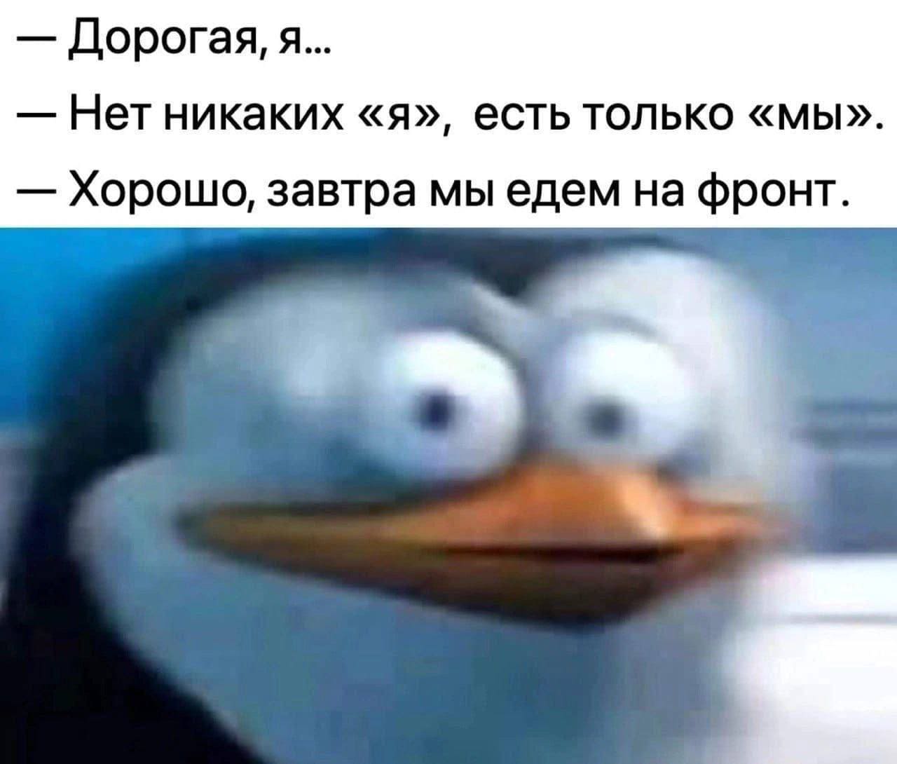 — Дорогая, я...
— Нет никаких «я», есть только «мы».
— Хорошо, завтра мы едем на фронт.