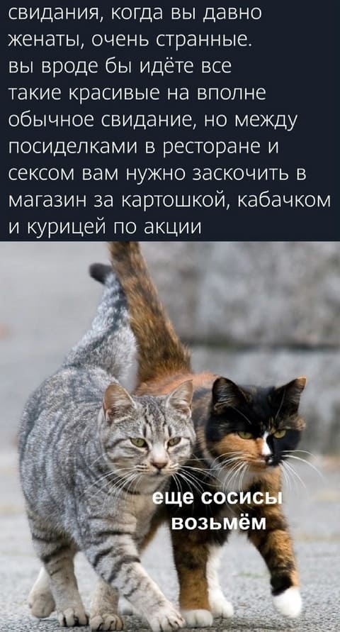 Свидания, когда вы давно женаты, очень странные, вы вроде бы идёте все такие красивые на вполне обычное свидание, но между посиделками в ресторане и сексом вам нужно заскочить в магазин за картошкой, кабачком и курицей по акции.