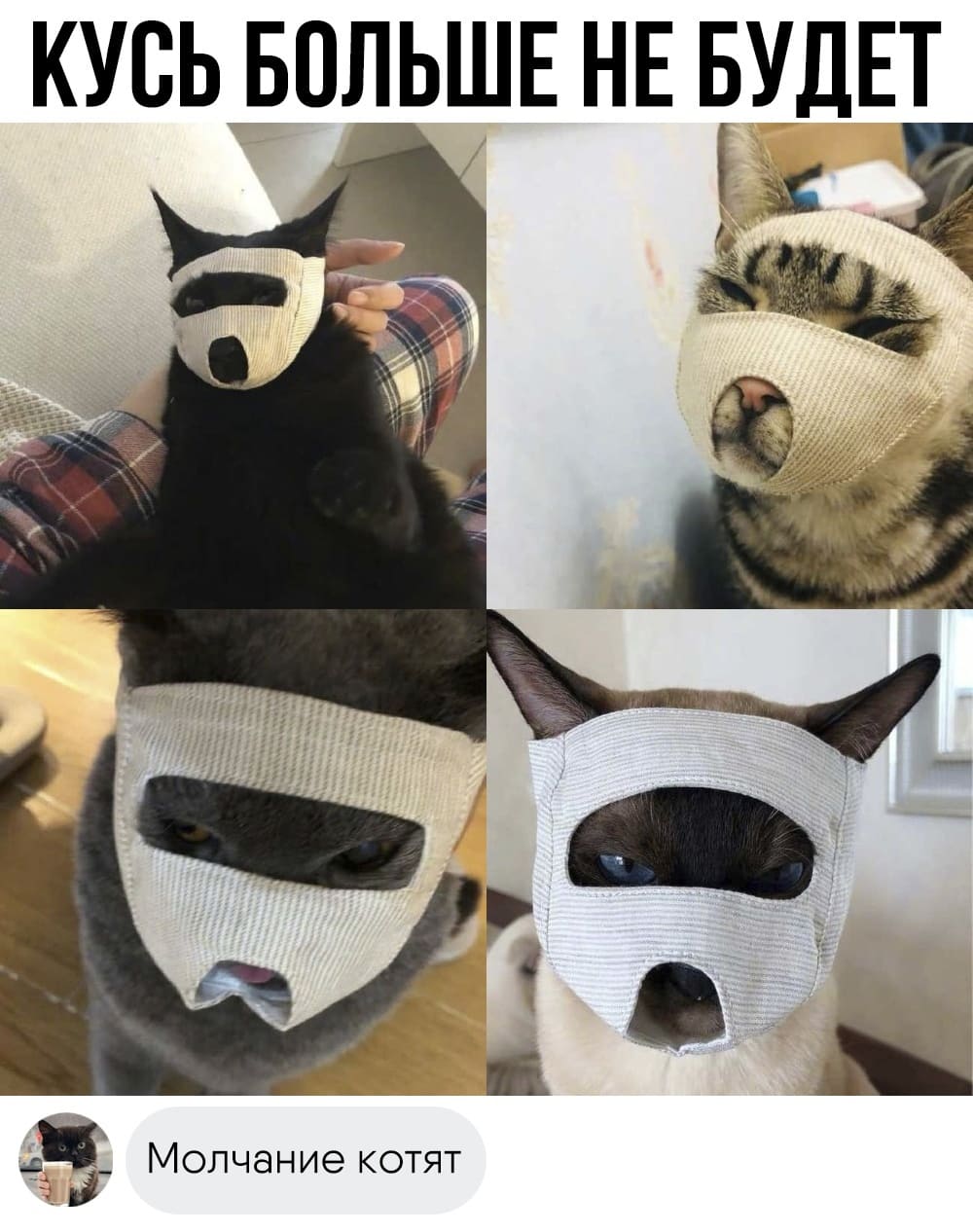 *КУСЬ БОЛЬШЕ НЕ БУДЕТ*
– Молчание котят.