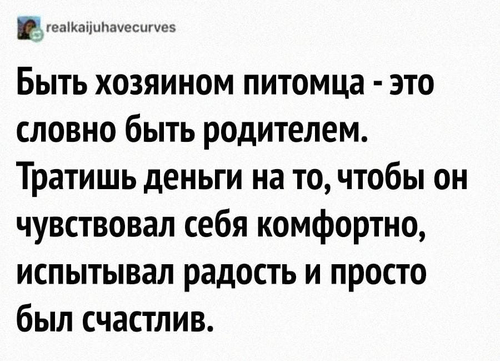 Быть хозяином питомца — это словно быть родителем. Тратишь деньги на то, чтобы он чувствовал себя комфортно, испытывал радость и просто был счастлив.