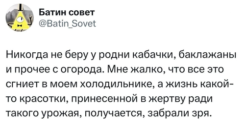 Никогда не беру у родни кабачки, баклажаны и прочее с огорода. Мне жалко, что все это сгниет в моем холодильнике, а жизнь какой-то красотки, принесенной в жертву ради такого урожая, получается, забрали зря.