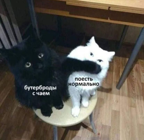 *Бутерброды с чаем или поесть нормально*