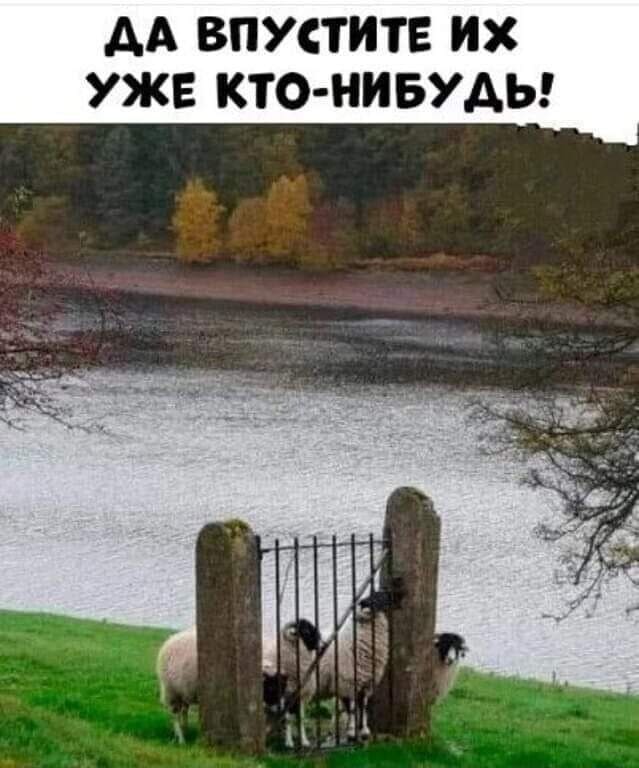 *ДА ВПУСТИТЕ ИХ УЖЕ КТО-НИБУДЬ*