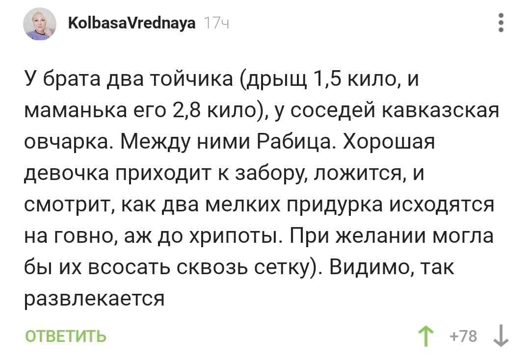 У брата два тойчика (дрыщ 1,5 кило, и маманька его 2,8 кило), у соседей кавказская овчарка. Между ними Рабица. Хорошая девочка приходит к забору, ложится, и смотрит, как два мелких придурка исходятся на говно, аж до хрипоты. При желании могла бы их всосать сквозь сетку). Видимо, так развлекается.