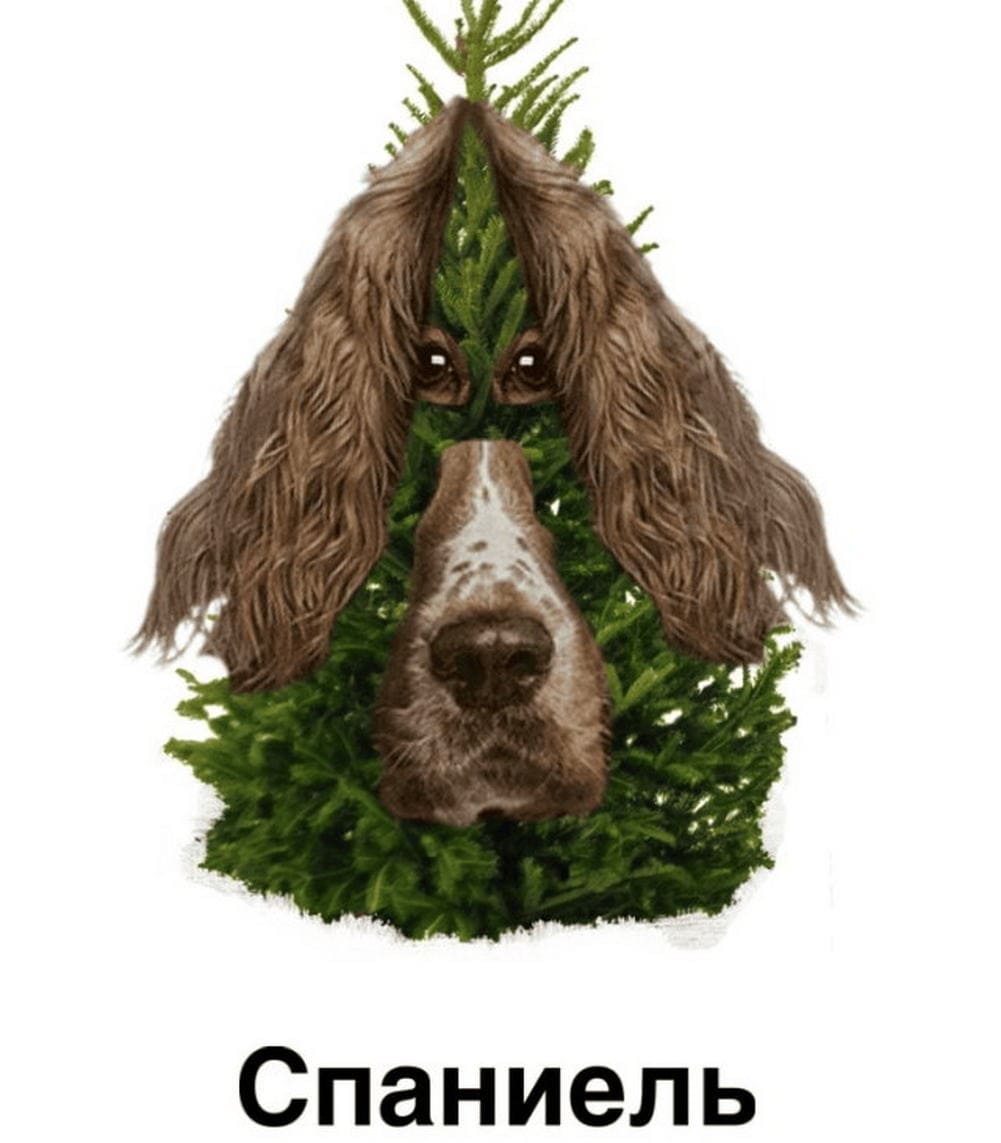 *Спаниель (Ребус)*