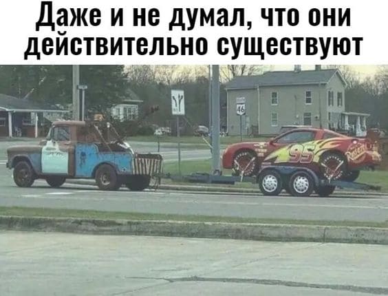 *Даже и не думал, что они действительно существуют*
*Молния МакКуин и Мэтр*