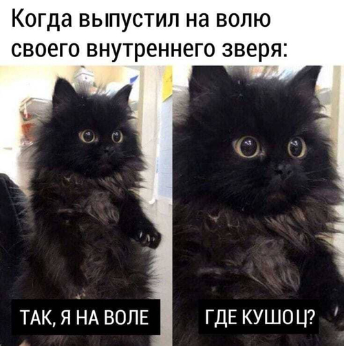 Когда выпустил на волю своего внутреннего зверя:
– Так, я на воле, где покушать!?