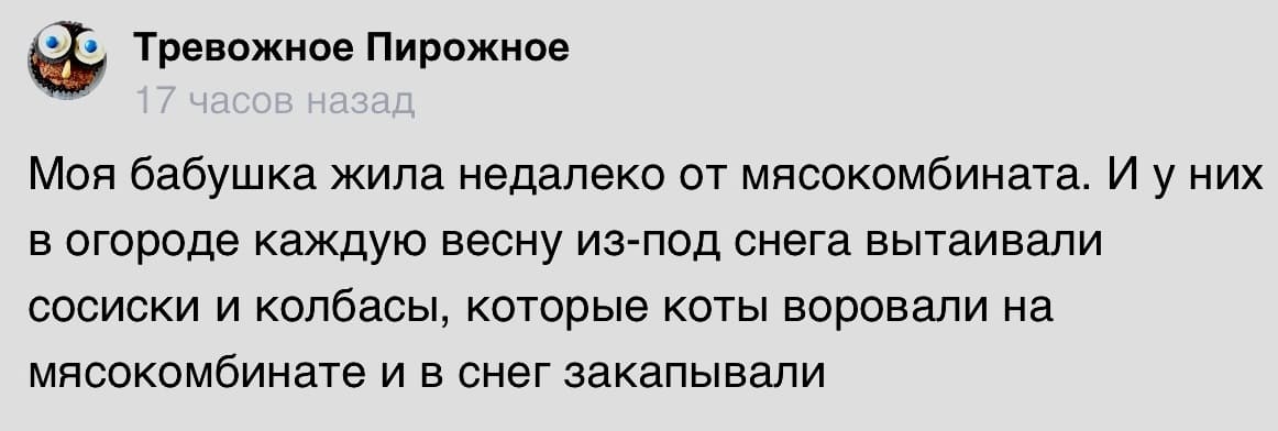 Моя бабушка жила недалеко от мясокомбината. И у них в огороде каждую весну из-под снега вытаивали сосиски и колбасы, которые коты воровали на мясокомбинате ив снег закапывали.