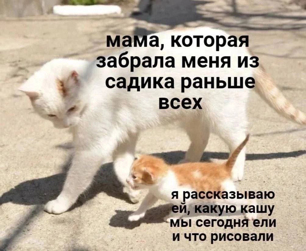 *Мама, которая забрала меня из садика раньше всех*
*Я рассказываю -ей, какую кашу мы сегодня ели и что рисовали*