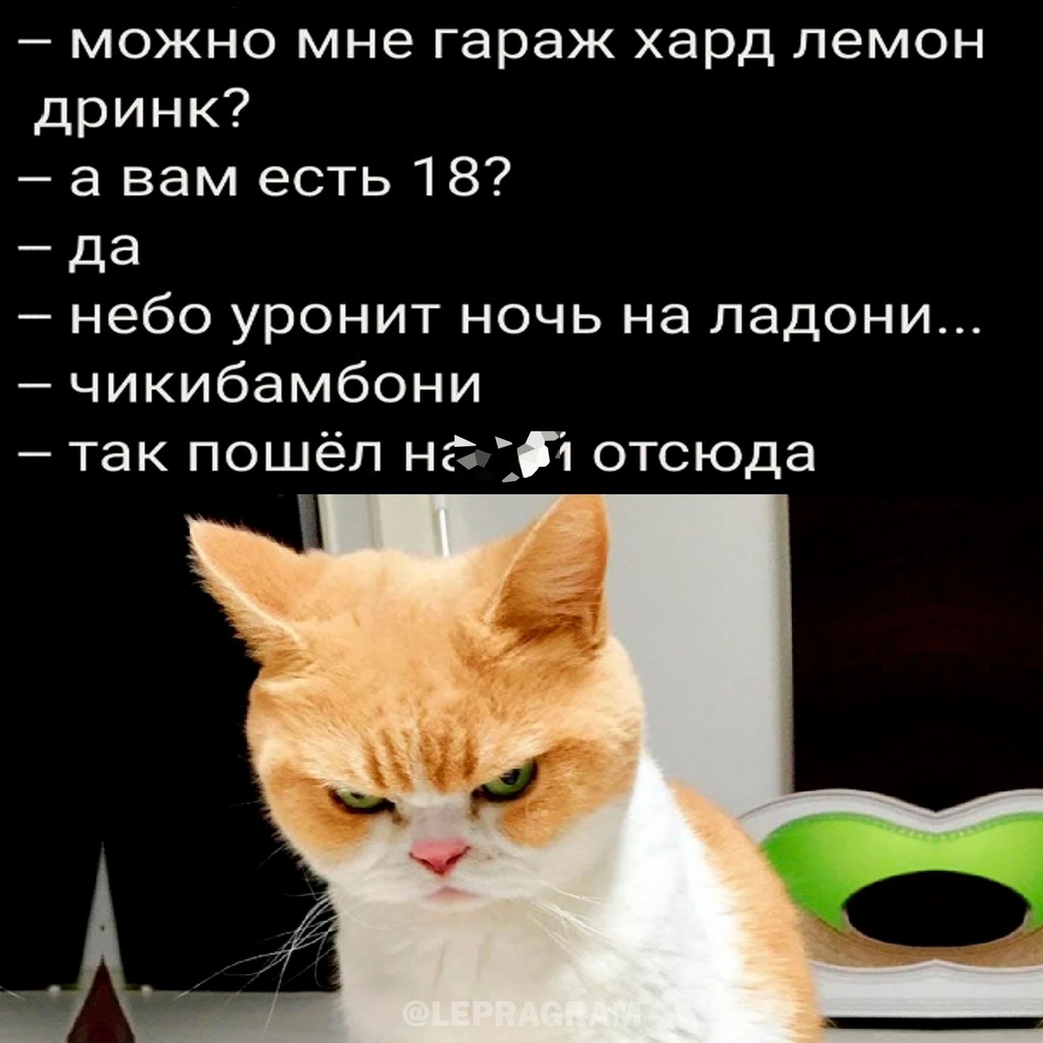 – Можно мне гараж хард лемон дринк?
– А вам есть 18?
– Да.
– Небо уронит ночь на ладони...
– Чикибамбони
– Так, пошёл нахрен отсюда!