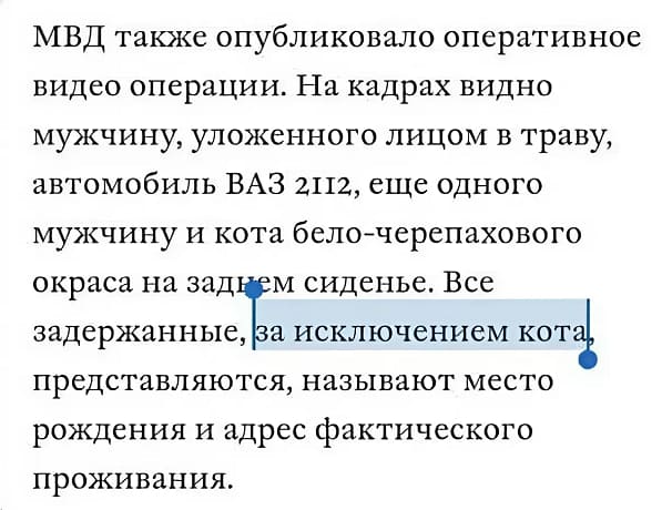 МВД также опубликовало оперативное видео операции. На кадрах видно мужчину, уложенного лицом в траву, автомобиль ВАЗ 2112, еще одного мужчину и кота бело-черепахового окраса на заднем сиденье. Все задержанные, за исключением кота представляются, называют место рождения и адрес фактического проживания.