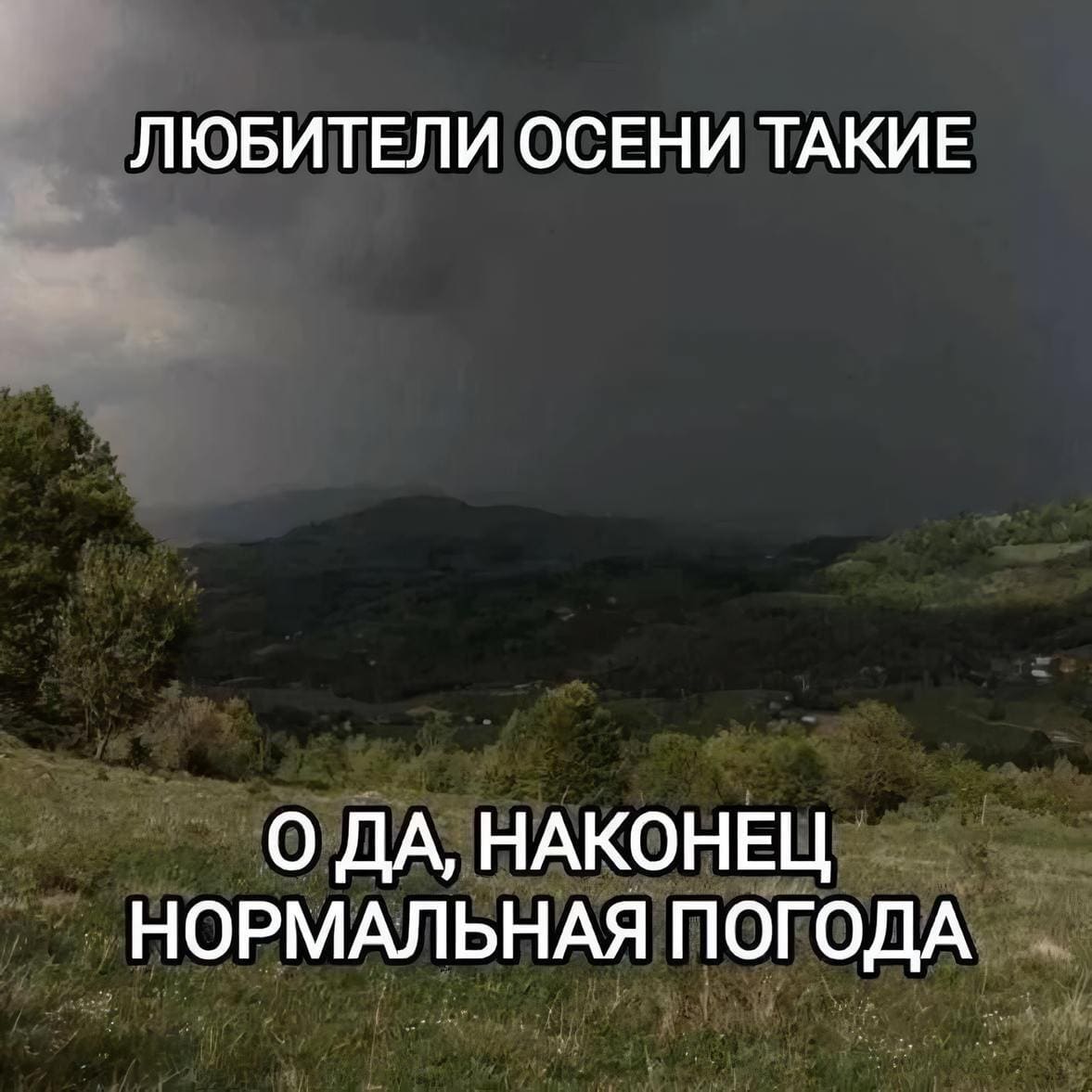 Любители осени такие:
– О да, наконец нормальная погода.