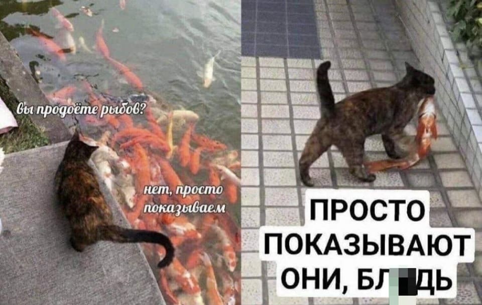 – Вы продаёте рыбов?
– Нет, только показываем.
*Показывают они...*