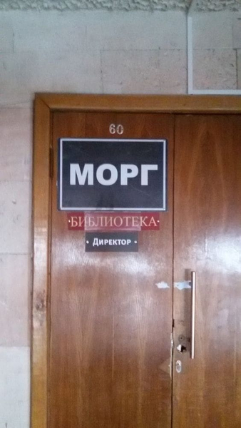 *Морг – Библиотека – Директор*