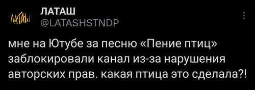 Мне на Ютубе за песню «Пение птиц» заблокировали канал из-за нарушения авторских прав, какая птица это сделала?!