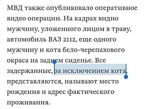 МВД также опубликовало оперативное видео операции. На кадрах видно мужчину, уложенного лицом в траву, автомобиль ВАЗ 2112, еще одного мужчину и кота бело-черепахового окраса на заднем сиденье. Все задержанные, за исключением кота представляются, называют место рождения и адрес фактического проживания.